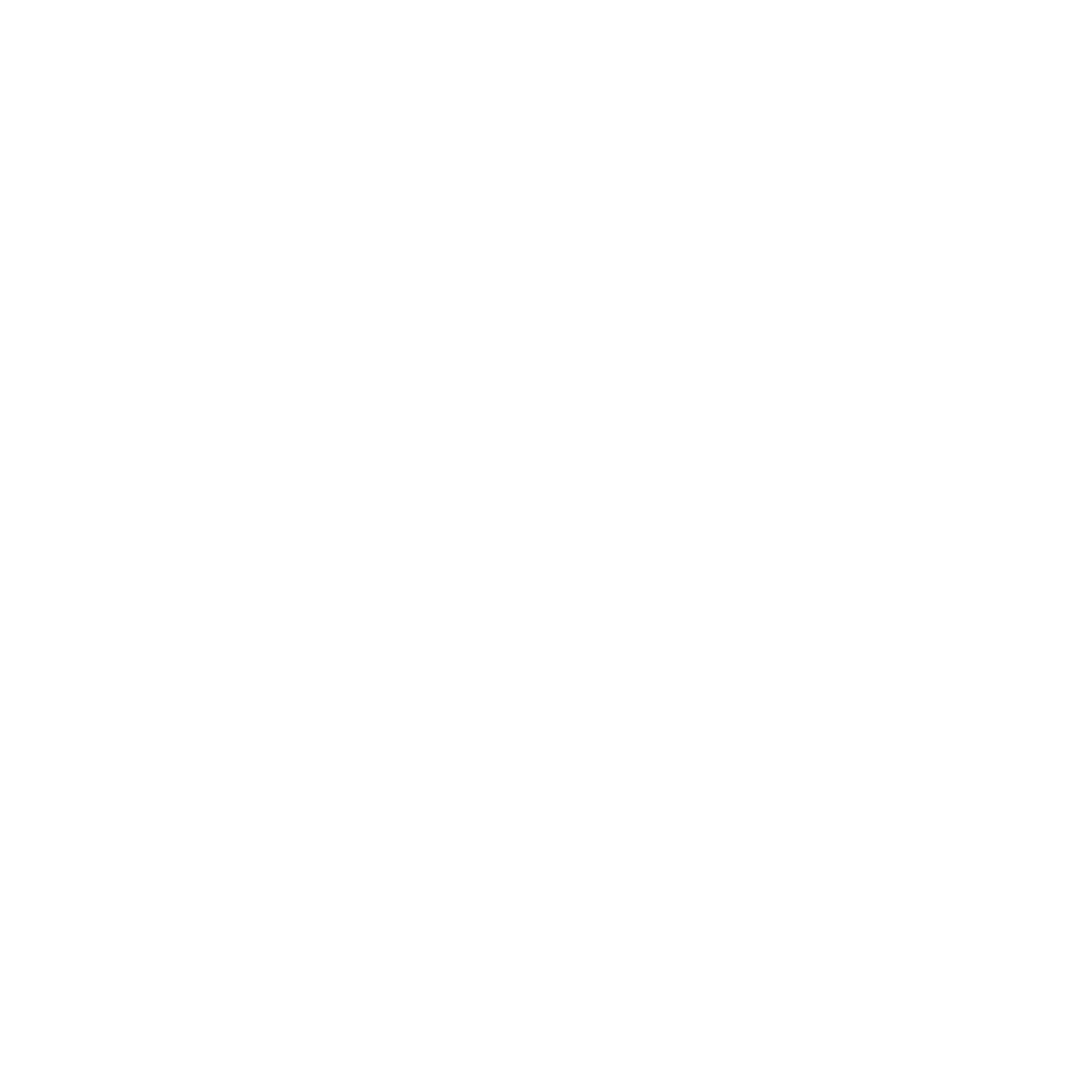 Steel and Stone Ministries Logo